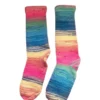 A pair of socks that are all different colors.