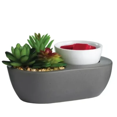 A bowl with plants and a candle in it